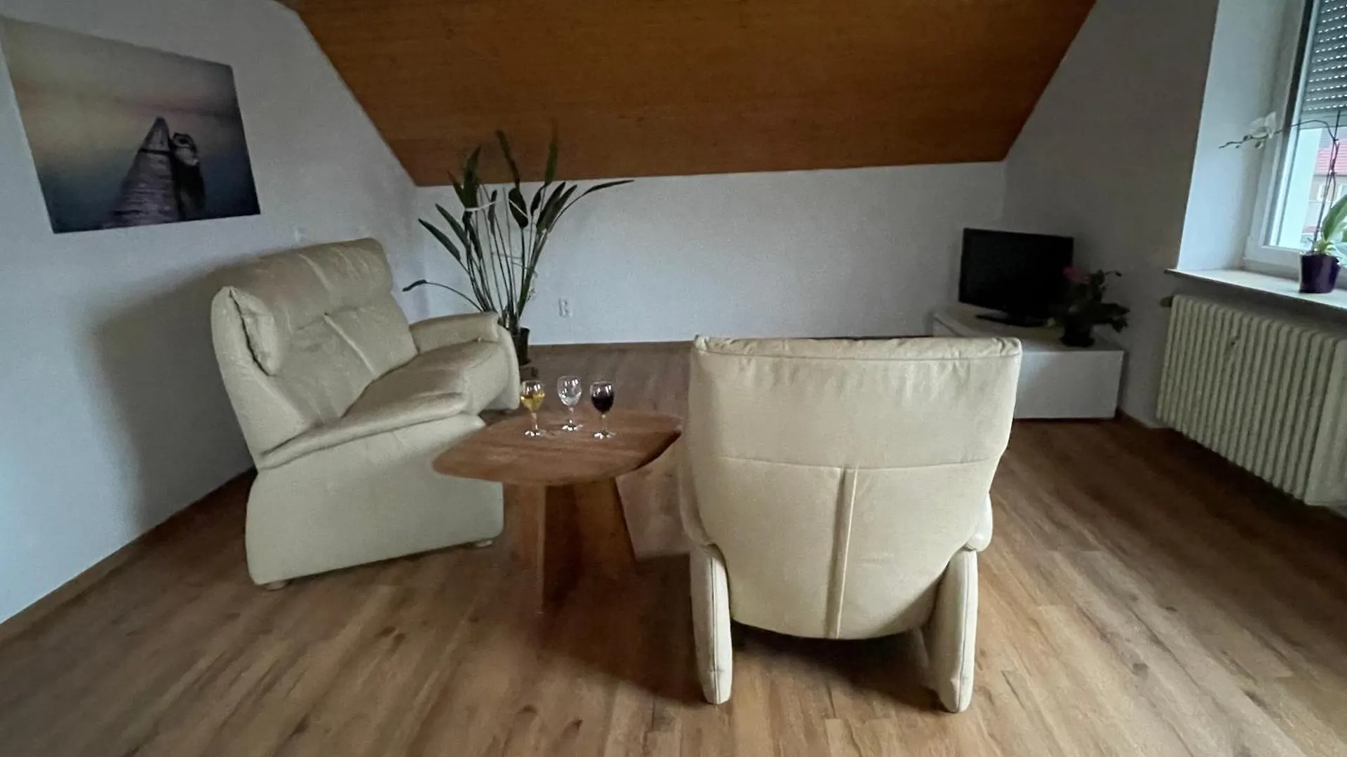 Apartment Ferienwohnung Orchidee Dinkelsbühl Deutschland